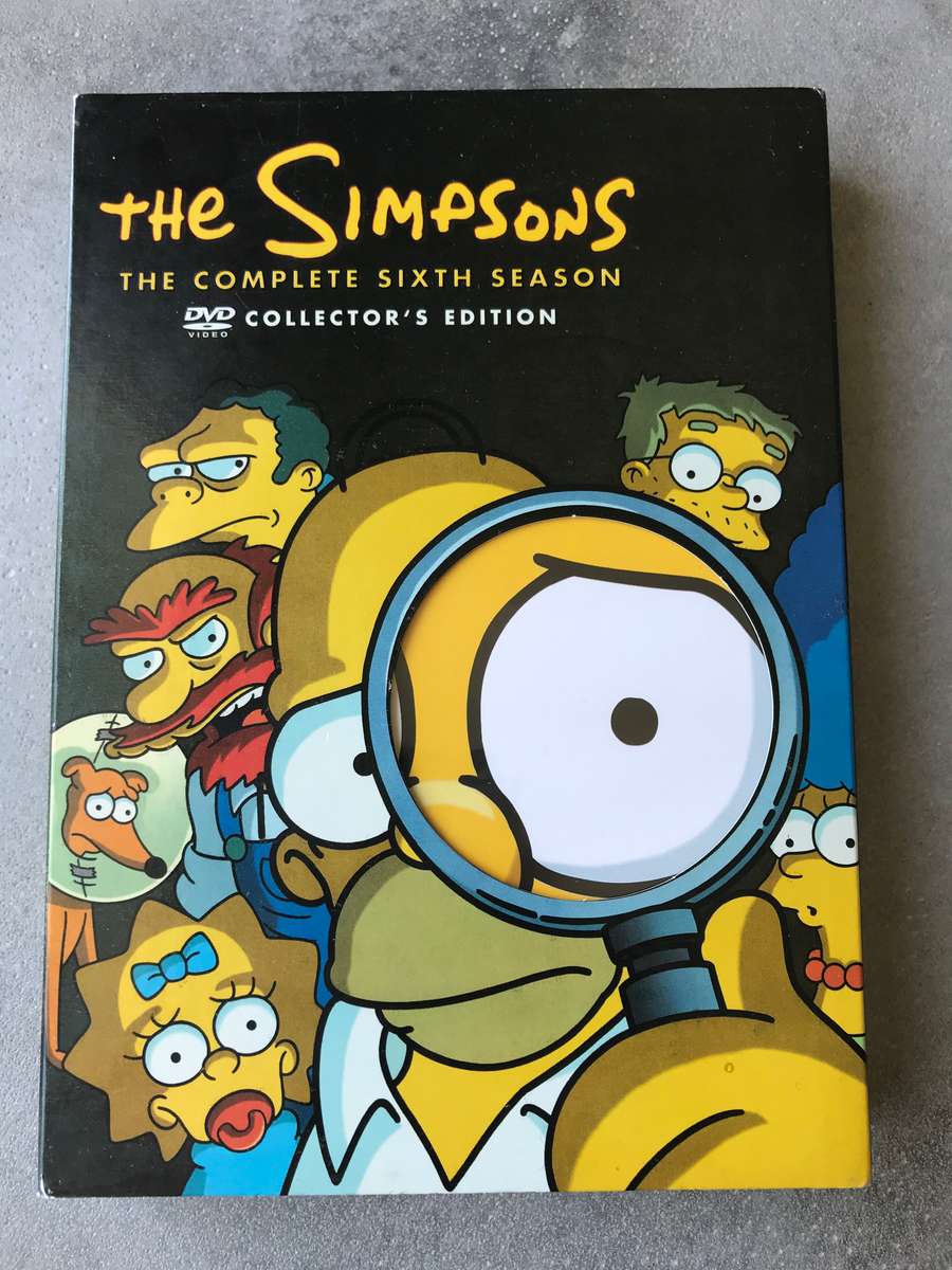 The Simpsons - Season 6 [4 DVD]