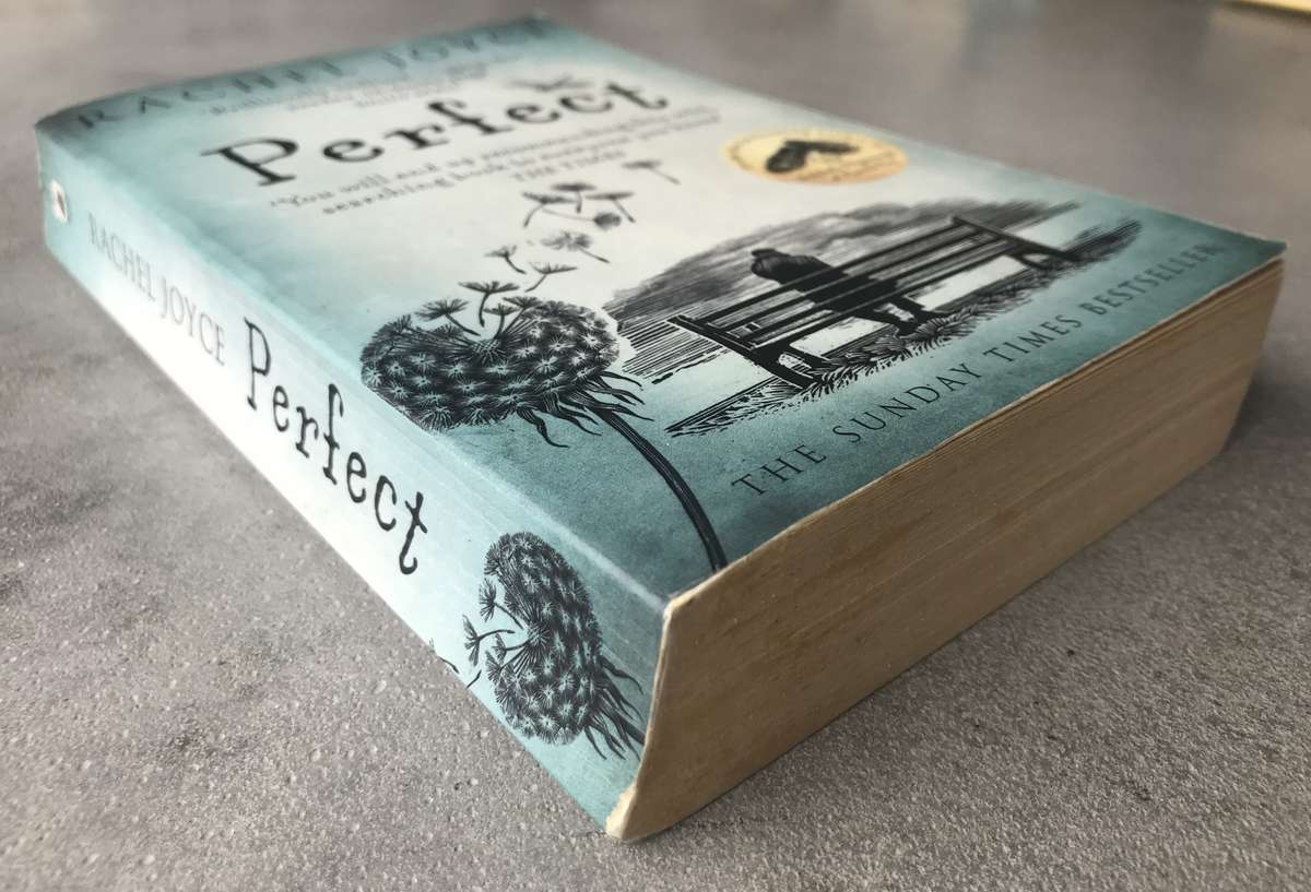 Perfect by Rachel Joyce [Paperback: Good]