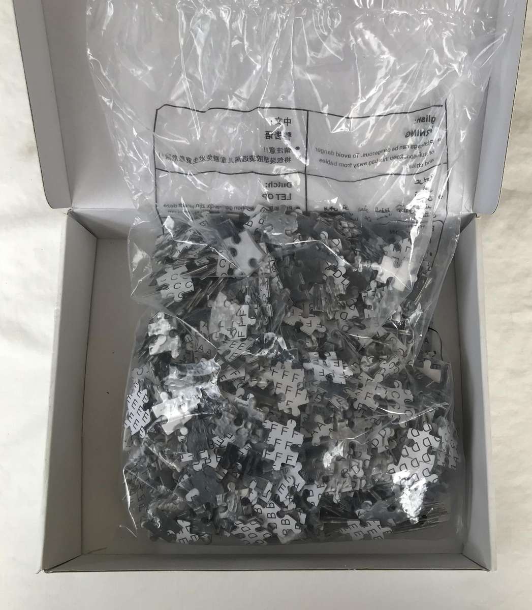 Round Puzzle: Moon [1,000 Piece]