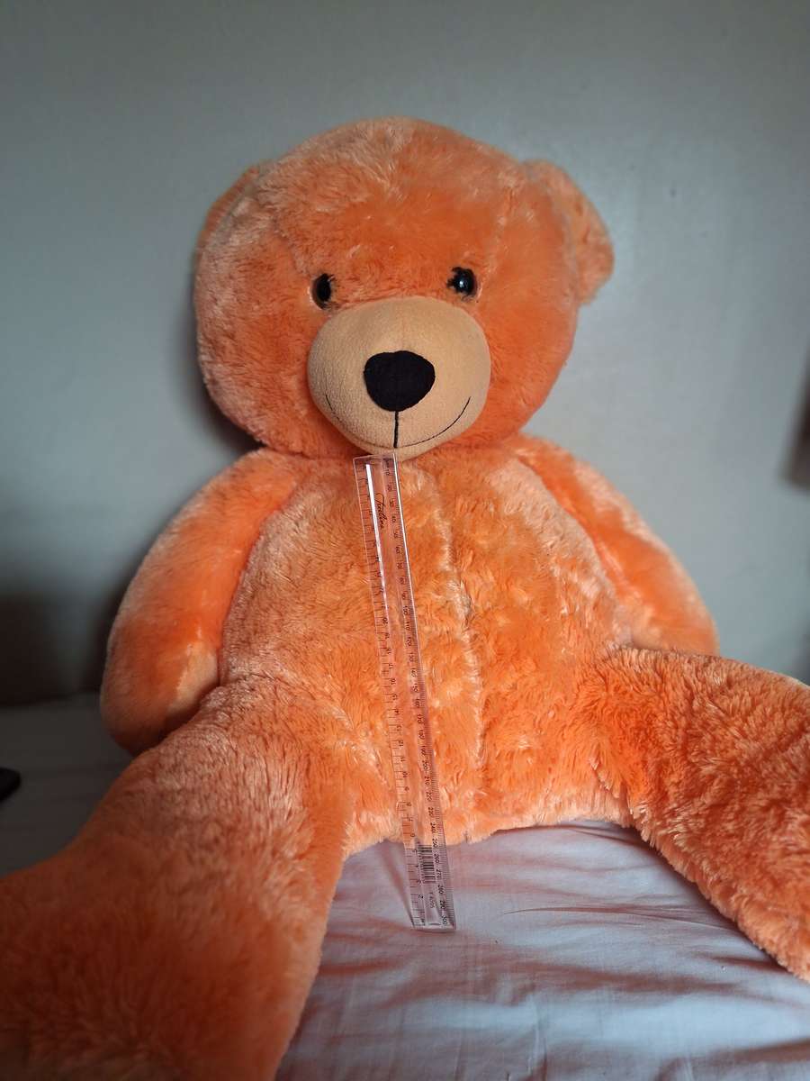Large Orange Teddybear