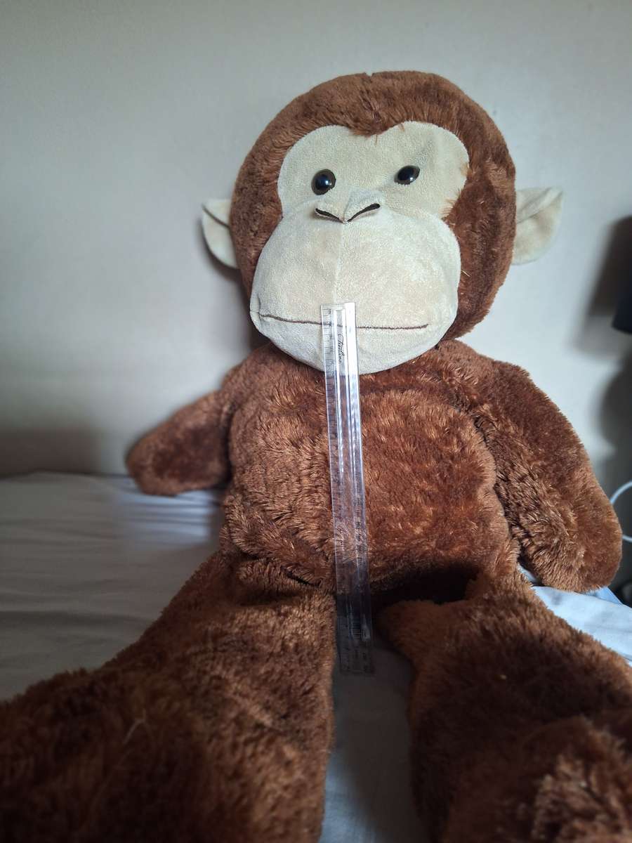 Large Monkey