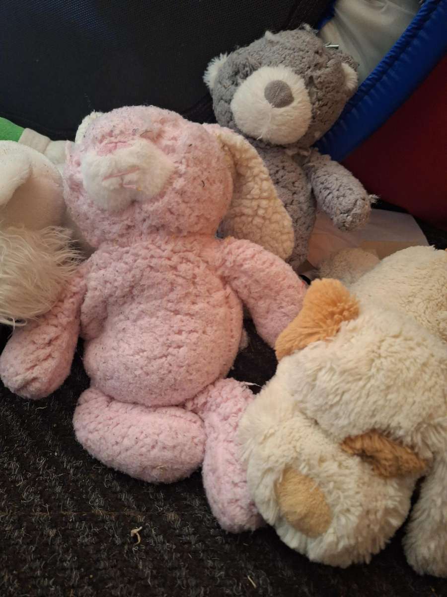 5 x Stuffed Animal Combo