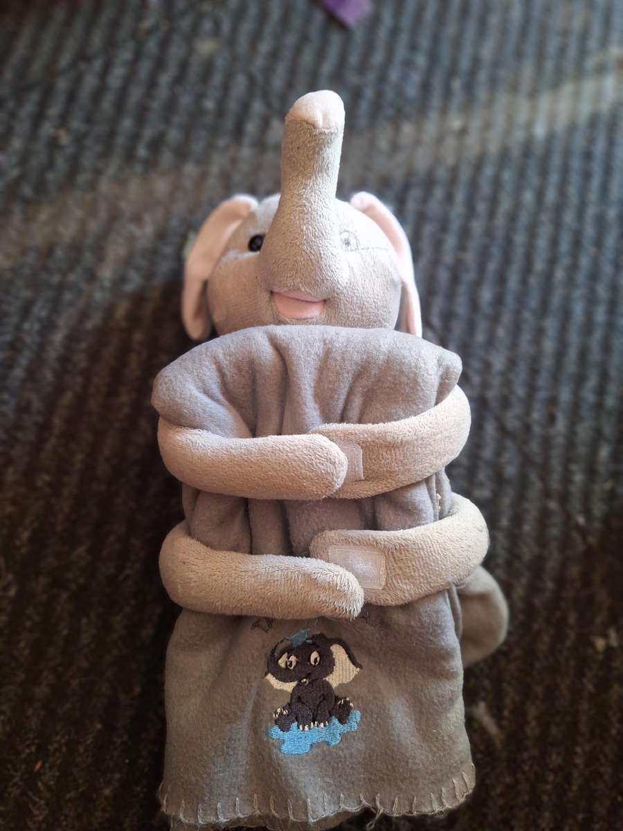 Elephant holding blanket