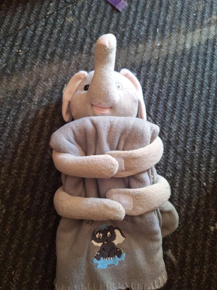 Elephant holding blanket