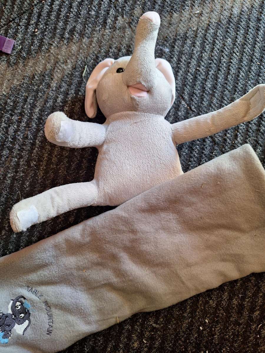 Elephant holding blanket