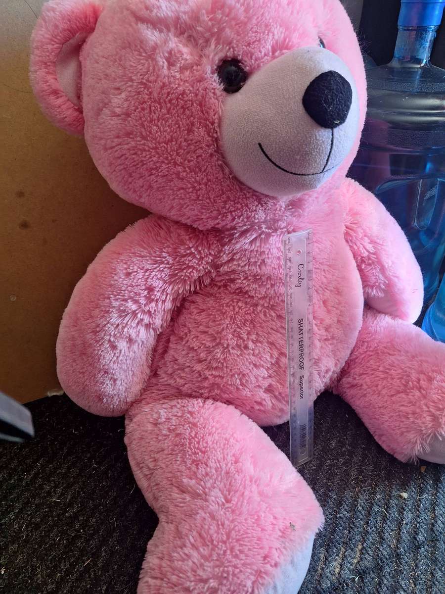 Huge Pink Bear