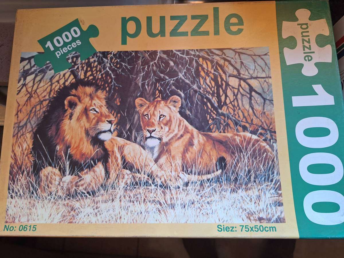 1000pc puzzle