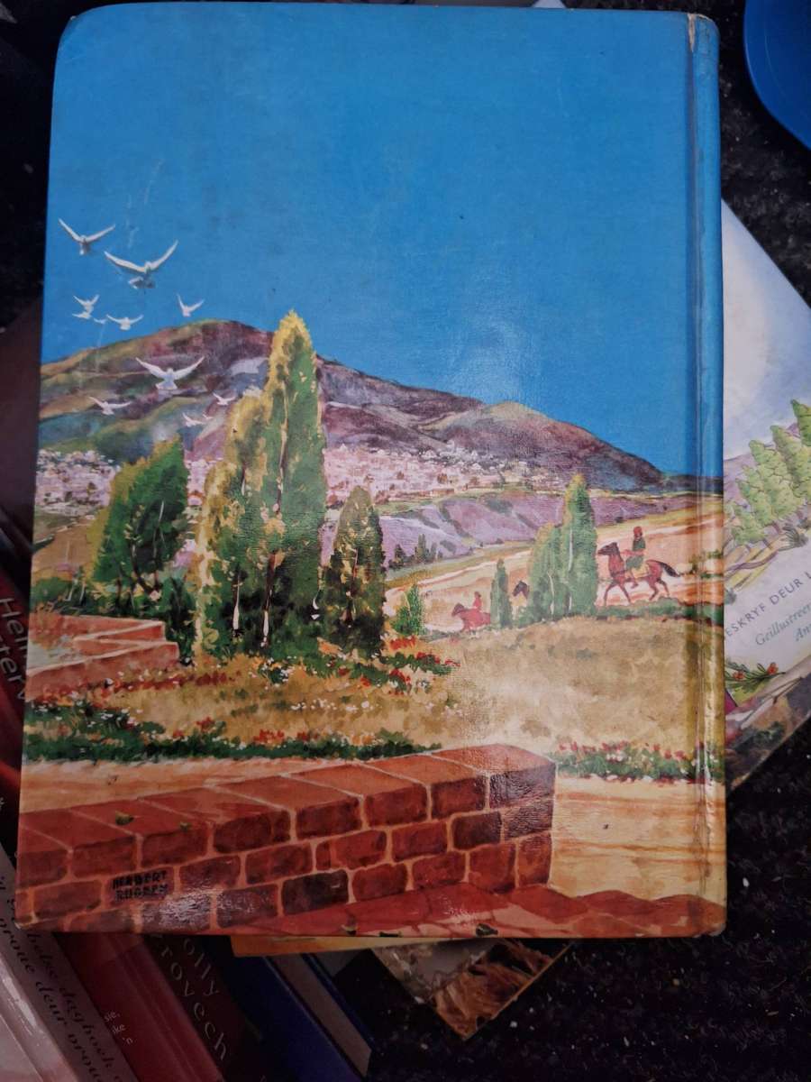 Bybel verhaal Afrikaans Childrens book