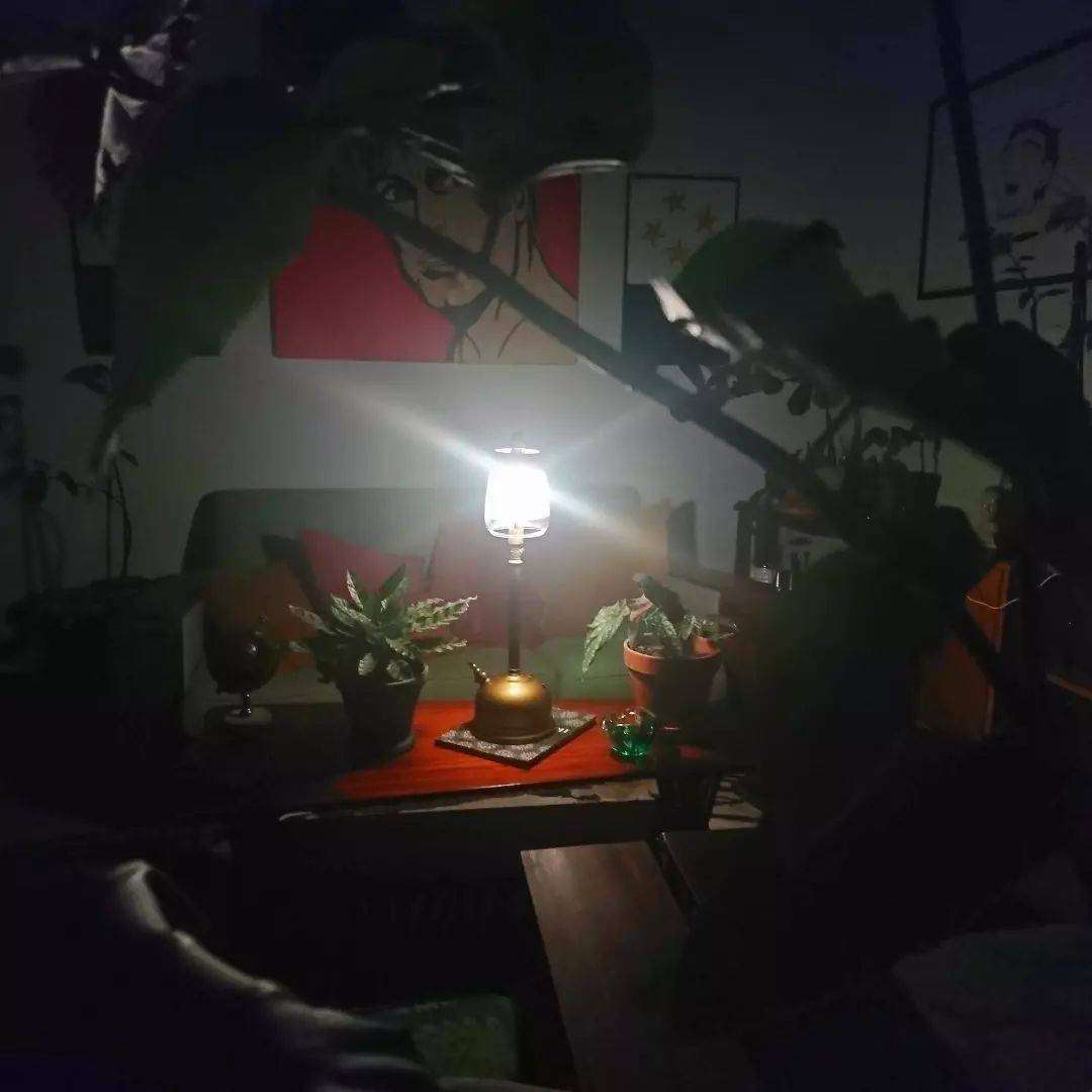 Classic Tilley Table Lamp