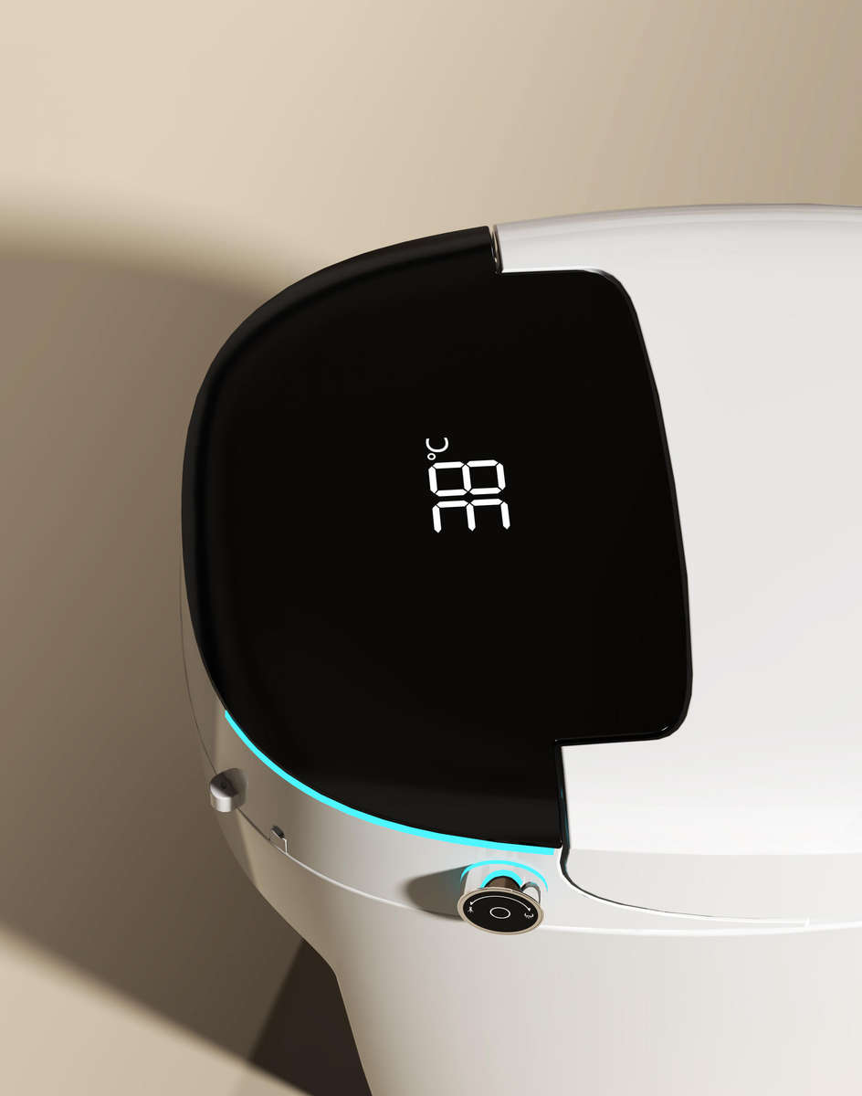 Intelligent Toilet Tankless