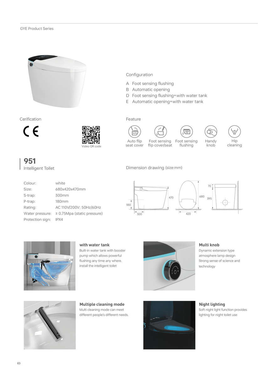 Intelligent Toilet Tankless