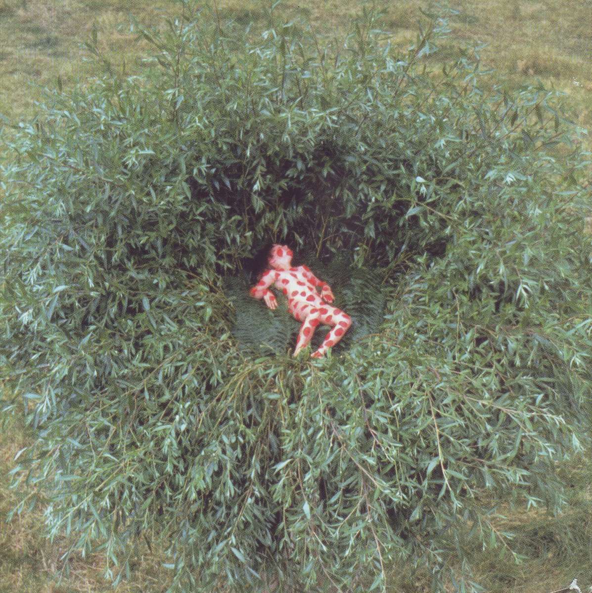 PETER GABRIEL - Ovo (CD) CDVIR (WF) 478 VG+