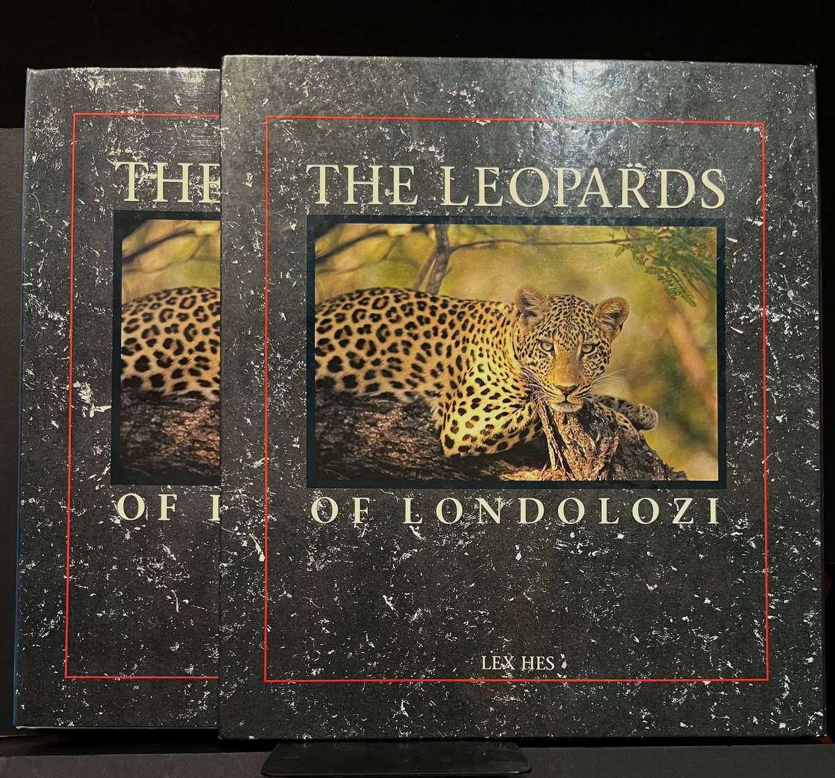 The Leopards of Londolozi by Lex Hes