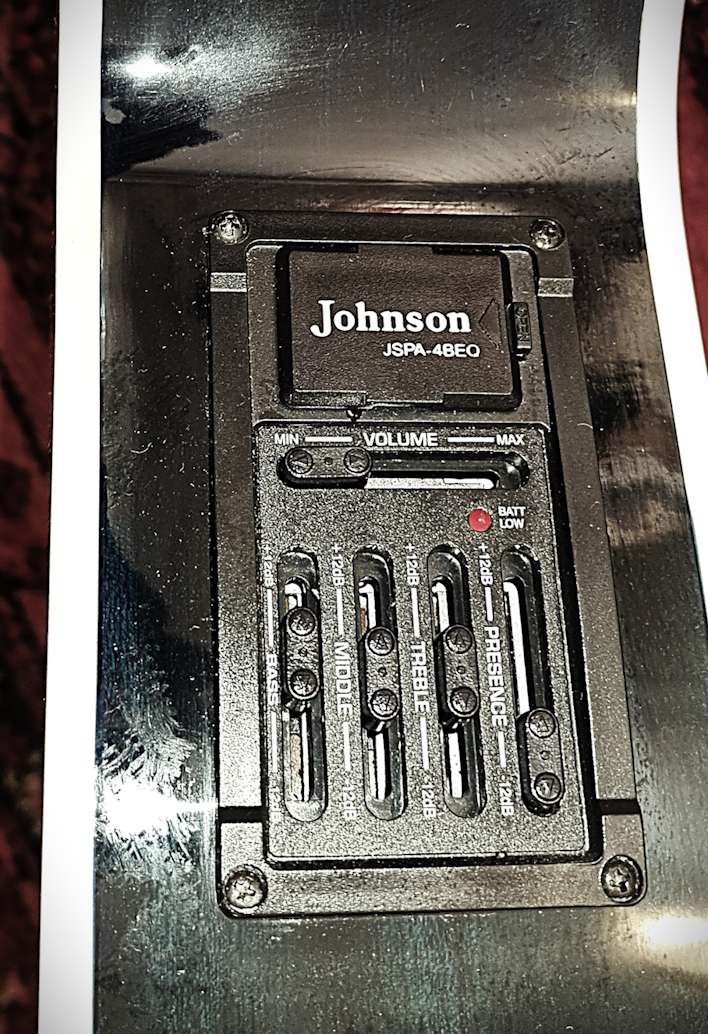 Acoustic/electric guitar with case