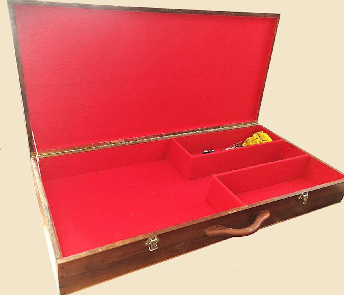 Acoustic/electric guitar with case