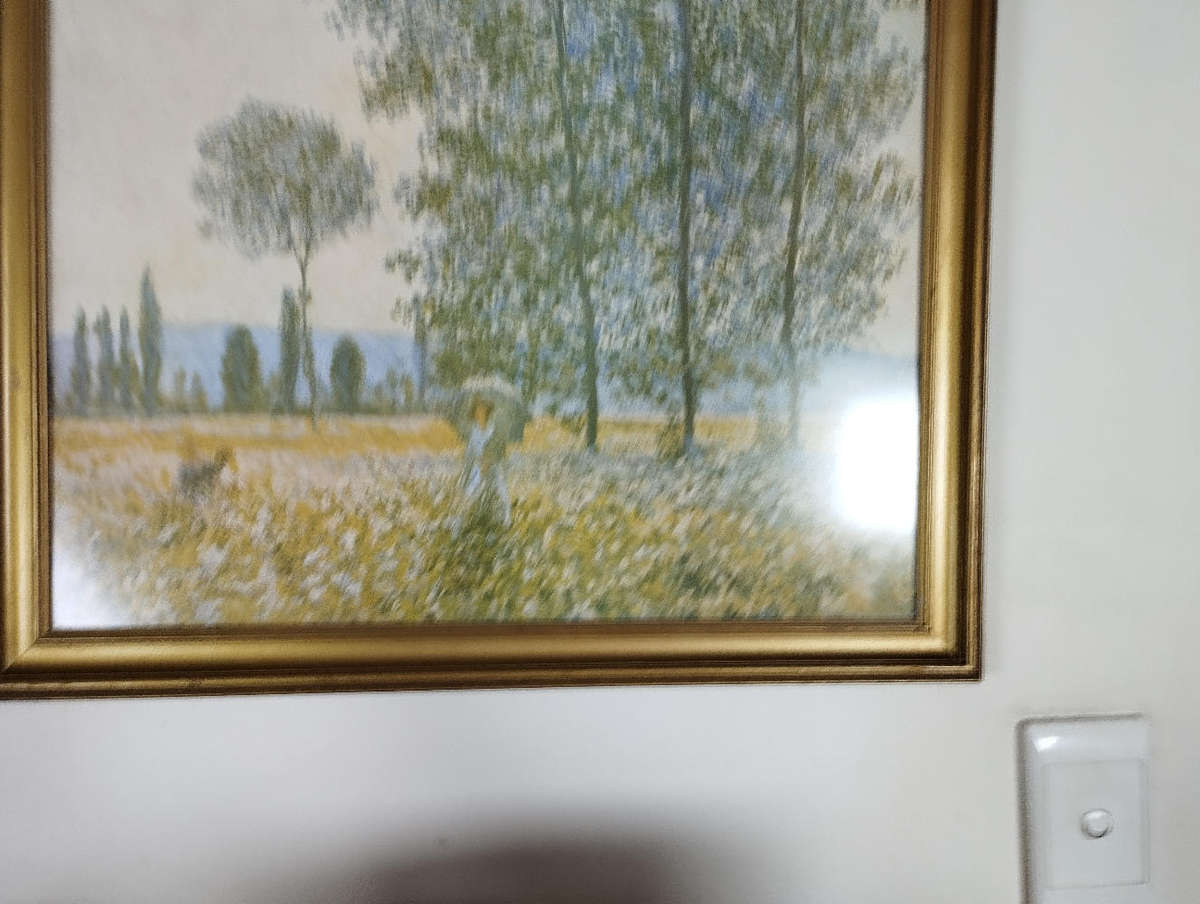 Print Monet fields of spring