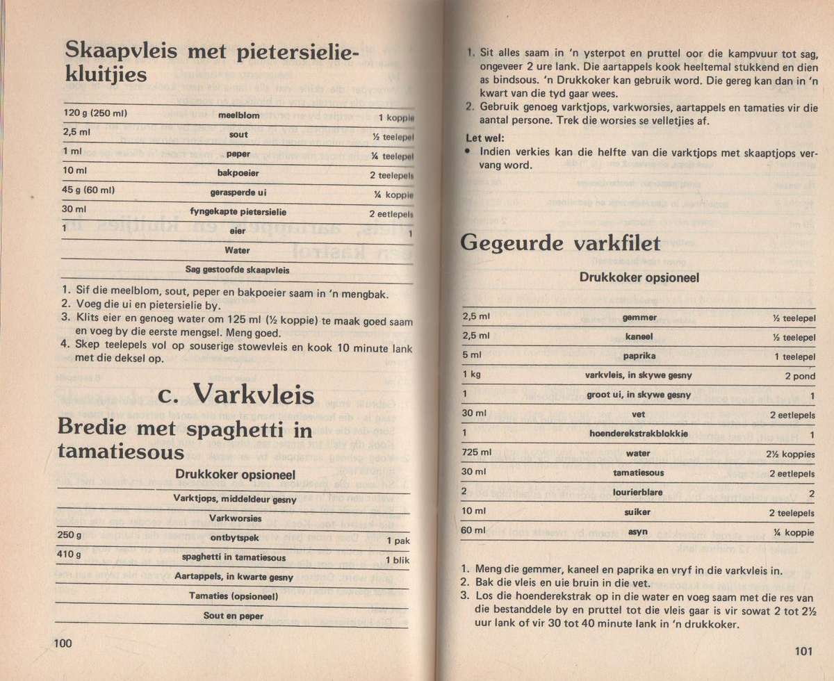 BRAAIVLEIS EN BUITEKOS - ERINA BEZUIDENHOUT (1984)