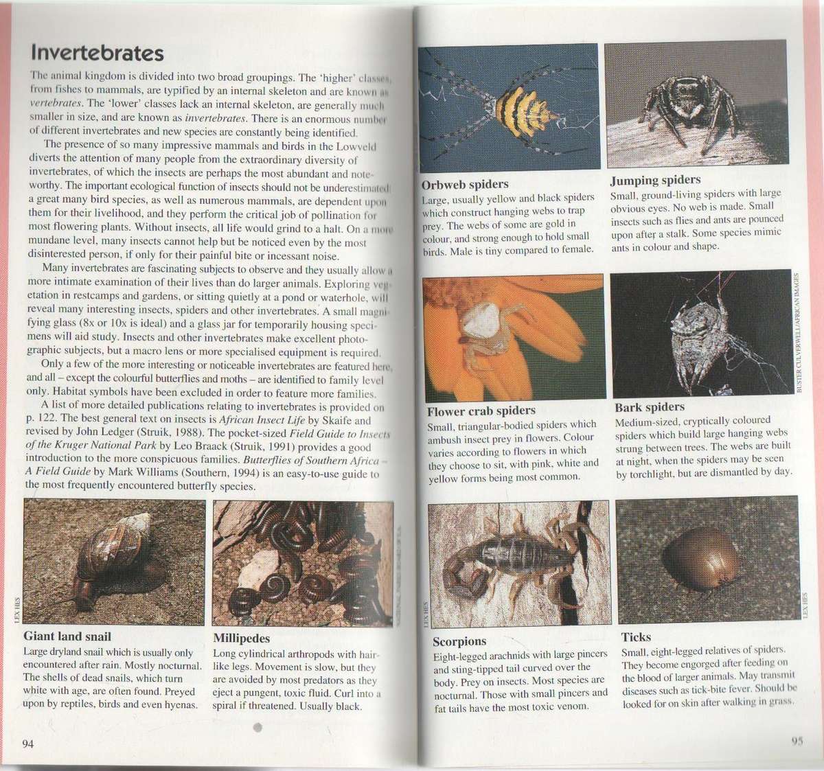 WILD ABOUT THE LOWVELD - DUNCAN BUTCHART (1 ST EDITION 1996)