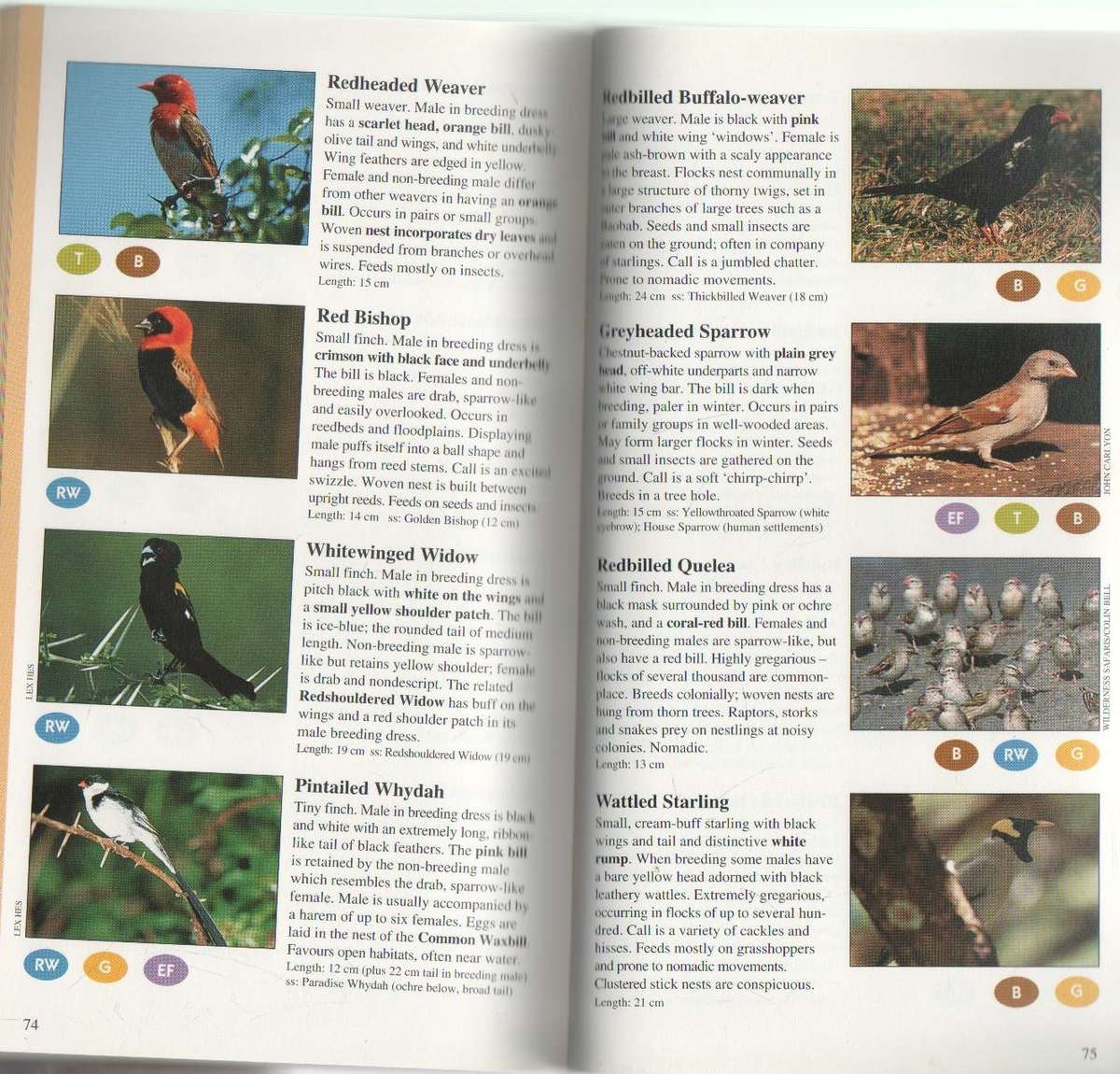 WILD ABOUT THE LOWVELD - DUNCAN BUTCHART (1 ST EDITION 1996)