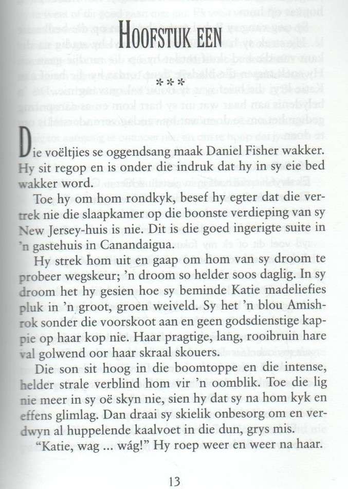 DIE AFREKENING BEVERLY LEWIS (1 STE UITGAWE 2003)