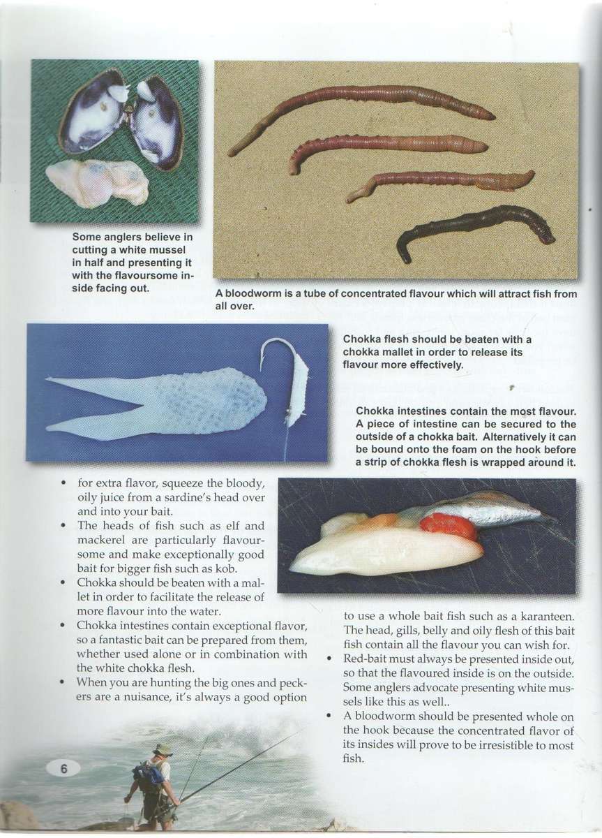 THE BAIT ON MY HOOK AND OTHER SECRETS - NICKIE LOUWRENS (2011)