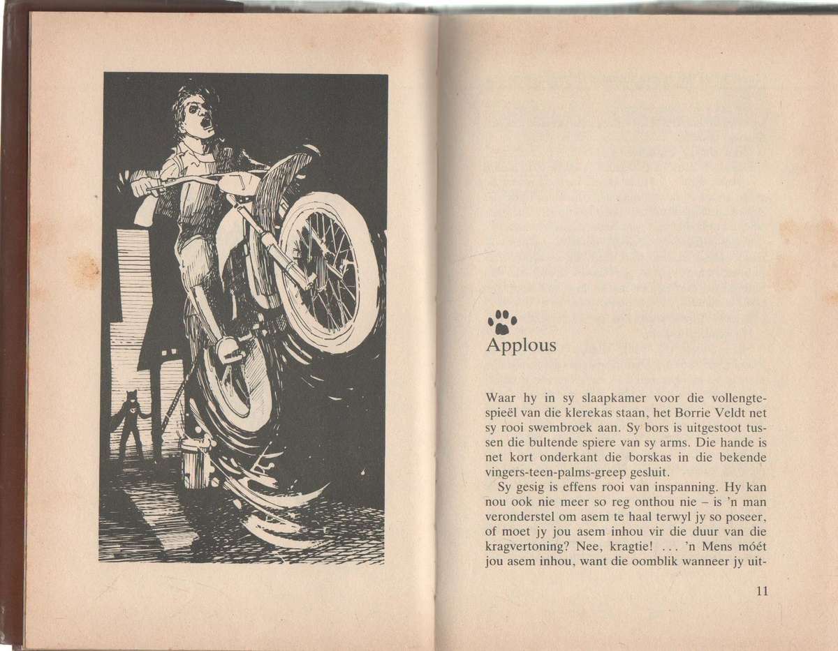 DIE SWART KAT SLAAN 'N STER EN VERDERE AVONTURE - CHRIS SASNER (1 STE UITGAWE 1982)