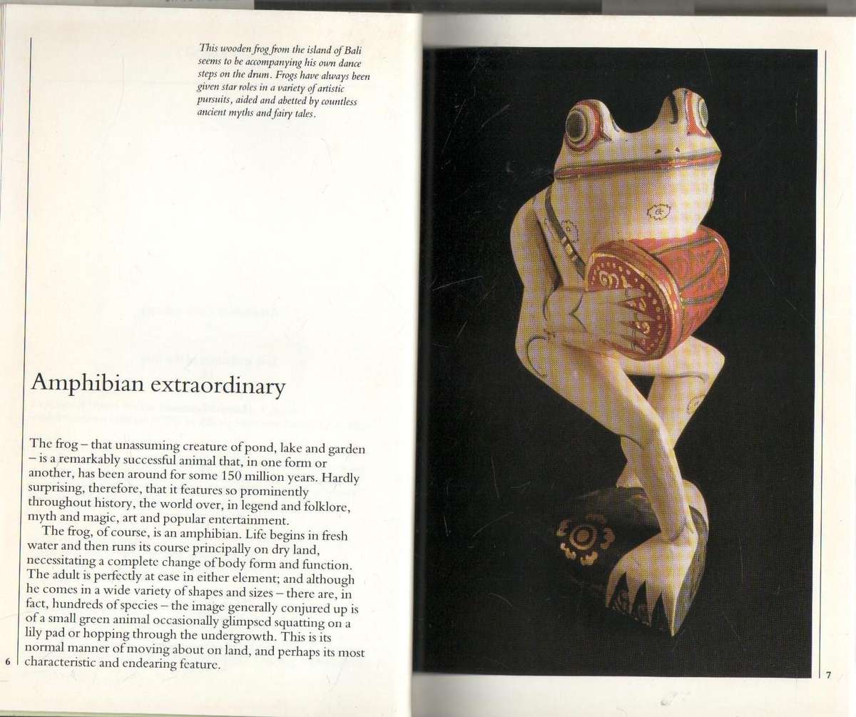 FROGS, ART, LEGEND, HISTORY - PATRIZIA RIBUOLI & MARINA ROBBIANI (1992)