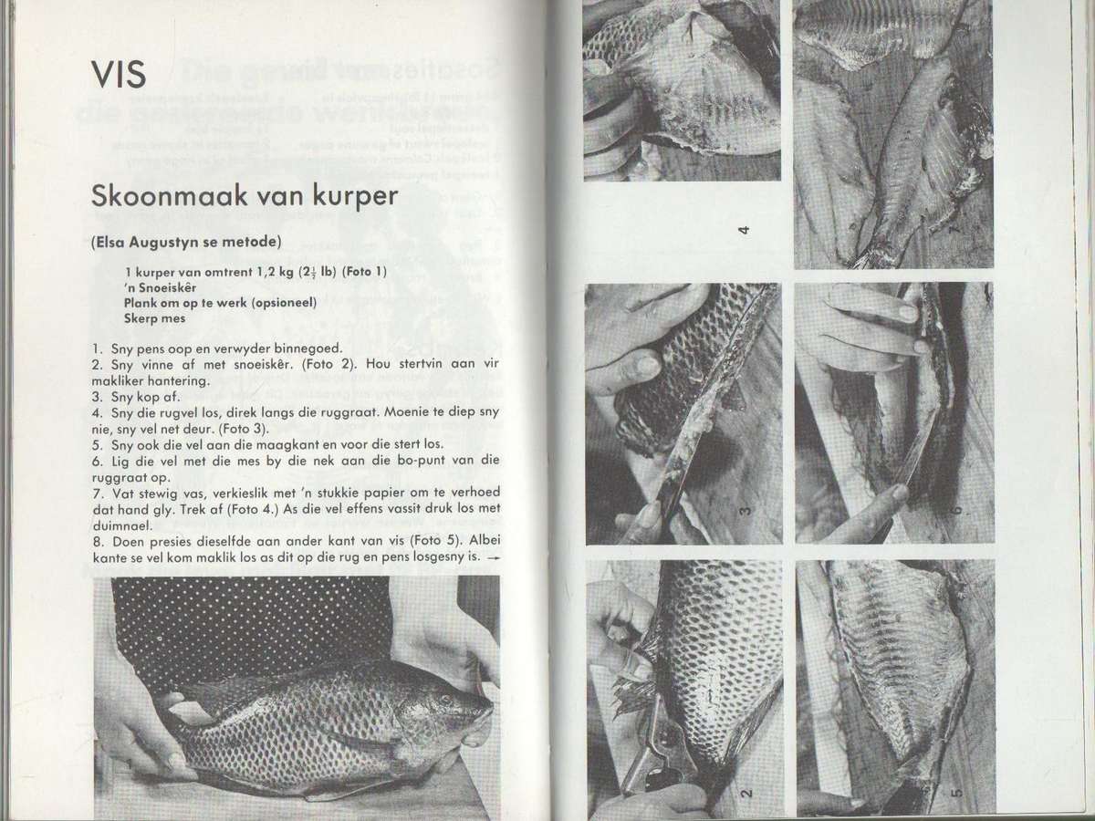 KOS VIR DIE KAMPEERDER - ERINA BEZUIDENHOUT (1 STE UITGAWE 1973)