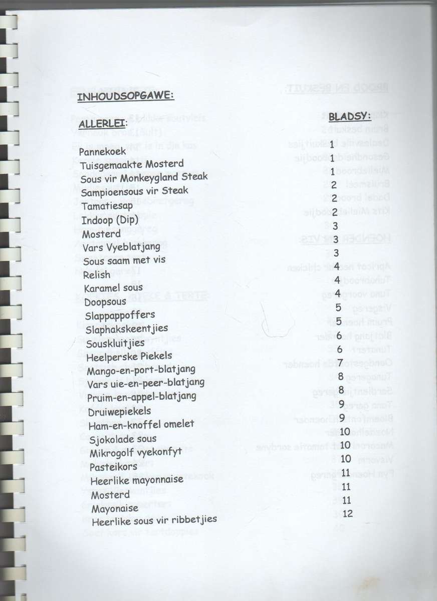 ELIZABETH JORDAAN TEHUIS RESEPTEBOEK - SAAMGESEL DEUR C A J DU PLESSIS