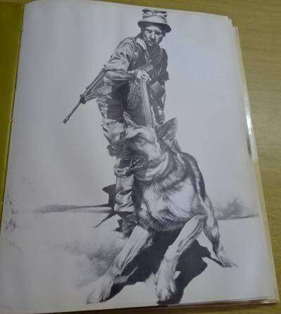 IMAGES OF WAR - PETER BADCOCK (1 ST PUBLISHED 1981)