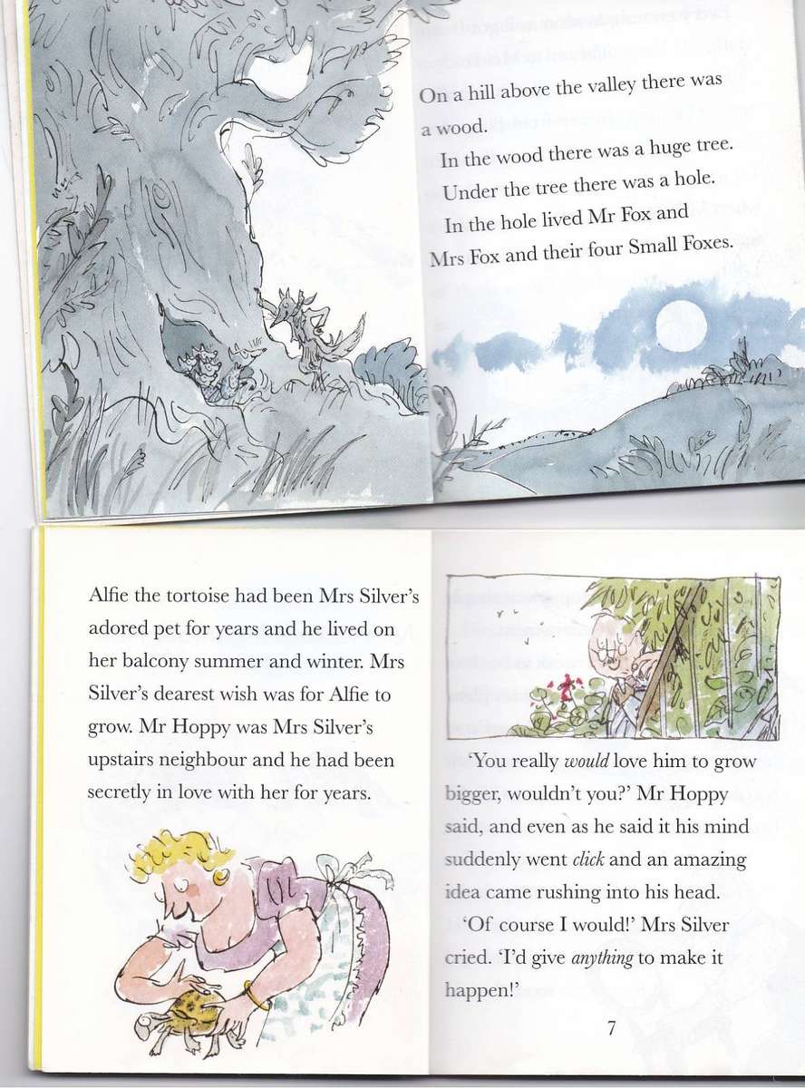 TWO SMALL SOFT COVER BOOKS BY ROALD DAHL : SECRET PLANS & FANTASTIC FAMILIES (2015)