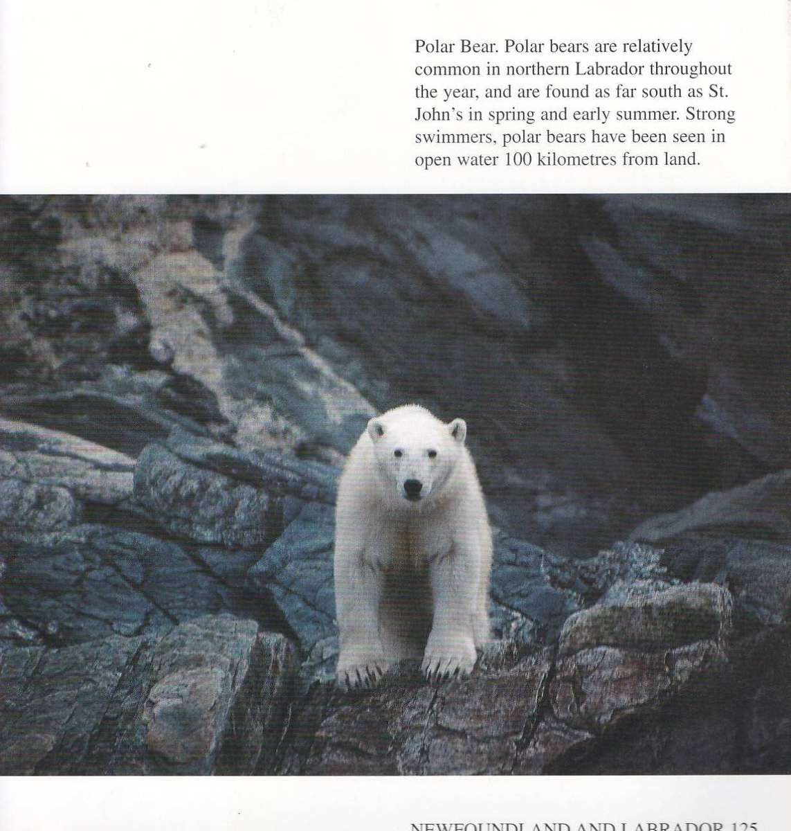 NEWFOUNDLAND AND LABRADOR - BRIAN C BURSEY (2002) SIGNED