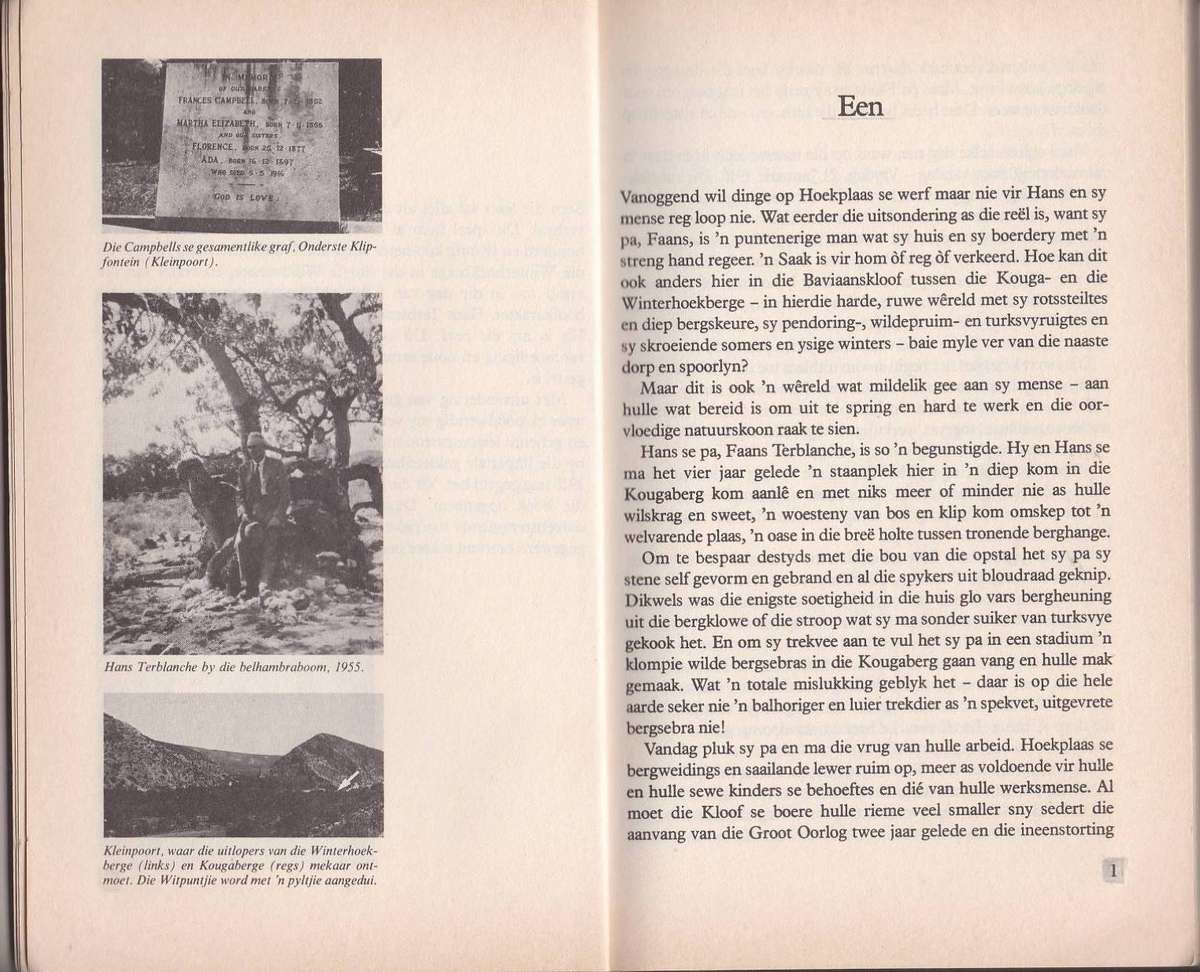 DIE WILDEDRUIF VAL - P H NORTJE (1985)  JEUGVERHAAL