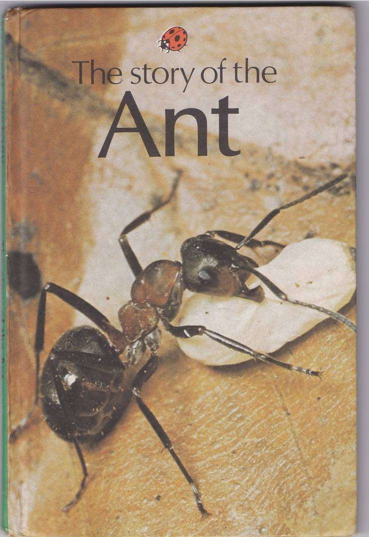 THE STORY OF THE ANT - LADYBIRD (1980)