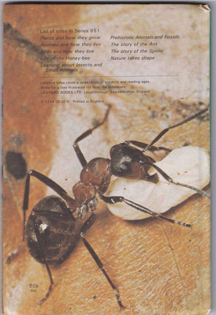 THE STORY OF THE ANT - LADYBIRD (1980)