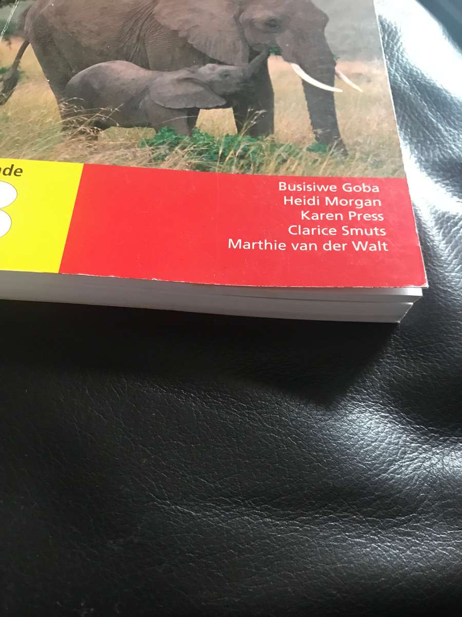 Grade 8: Study & Master Mathematics Grade 8 - Teacher's Guide