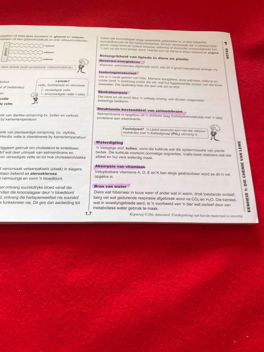 Graad 10: Antwoordreeks Lewenswetenskappe