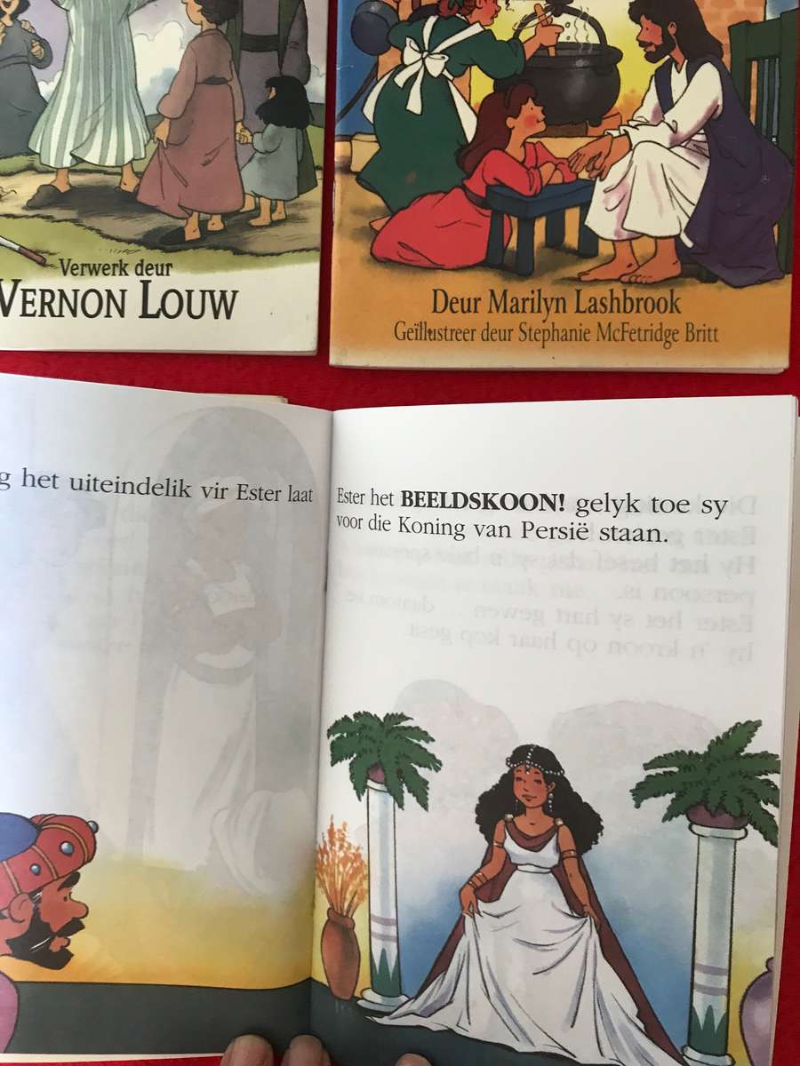 Lot 6 : 5 boekies (Bybel stories vir kinders) en een Die Nuwe Testament vir kinders