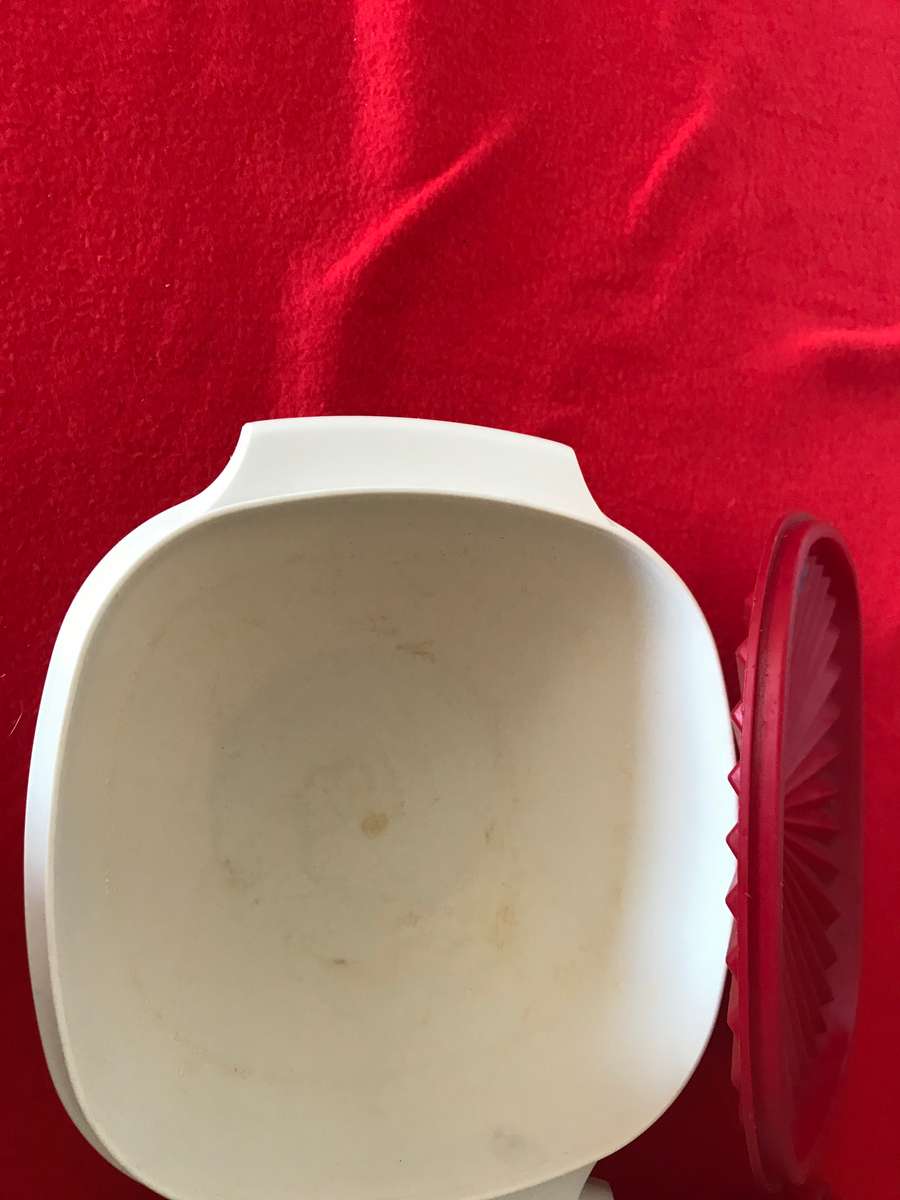 Tupperware Servalier Bowl Set of 2