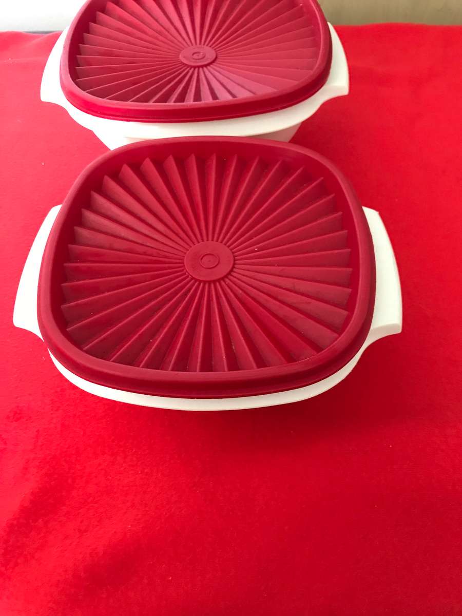 Tupperware Servalier Bowl Set of 2