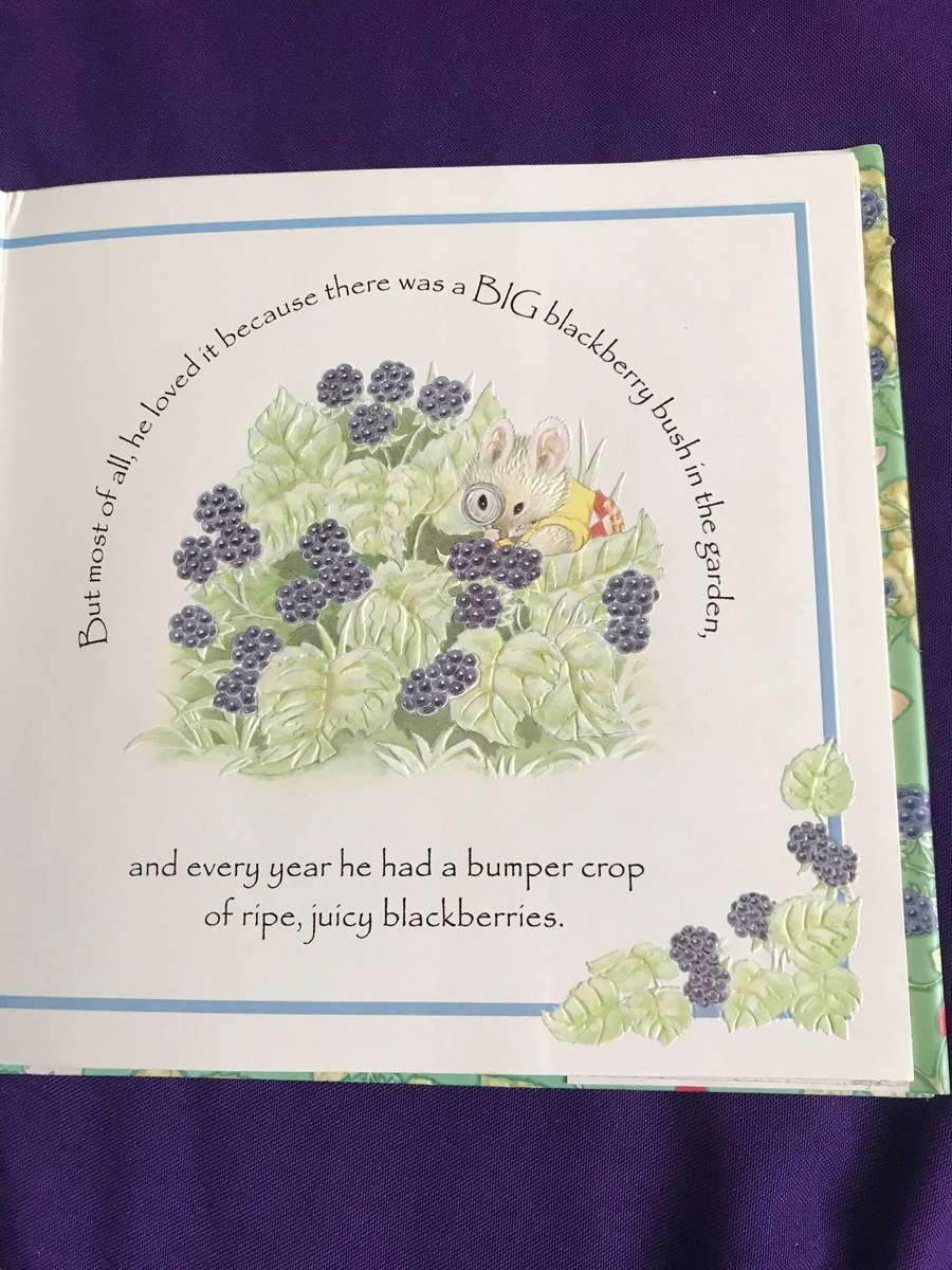Classic Childrens hard cover reading books  x 5