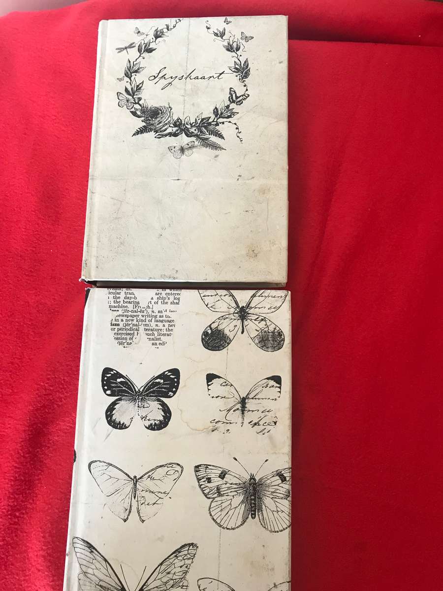 Wereld letterkunde deel 1V RUSSIES en deelV1 IERS-RENAISSANCE lot 2 books