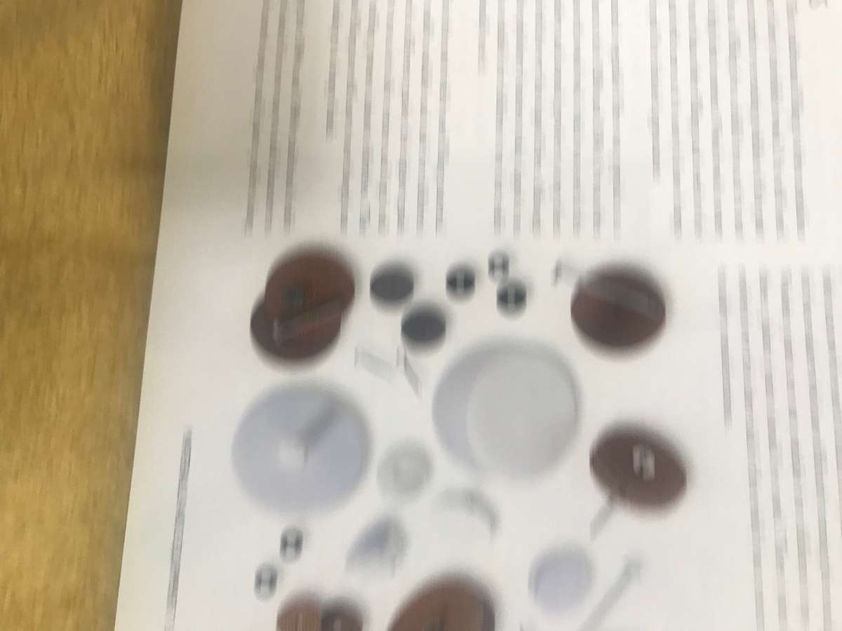 Teddy Bear Century - Hardcover Gibbs, Brian, Gibbs, Donna