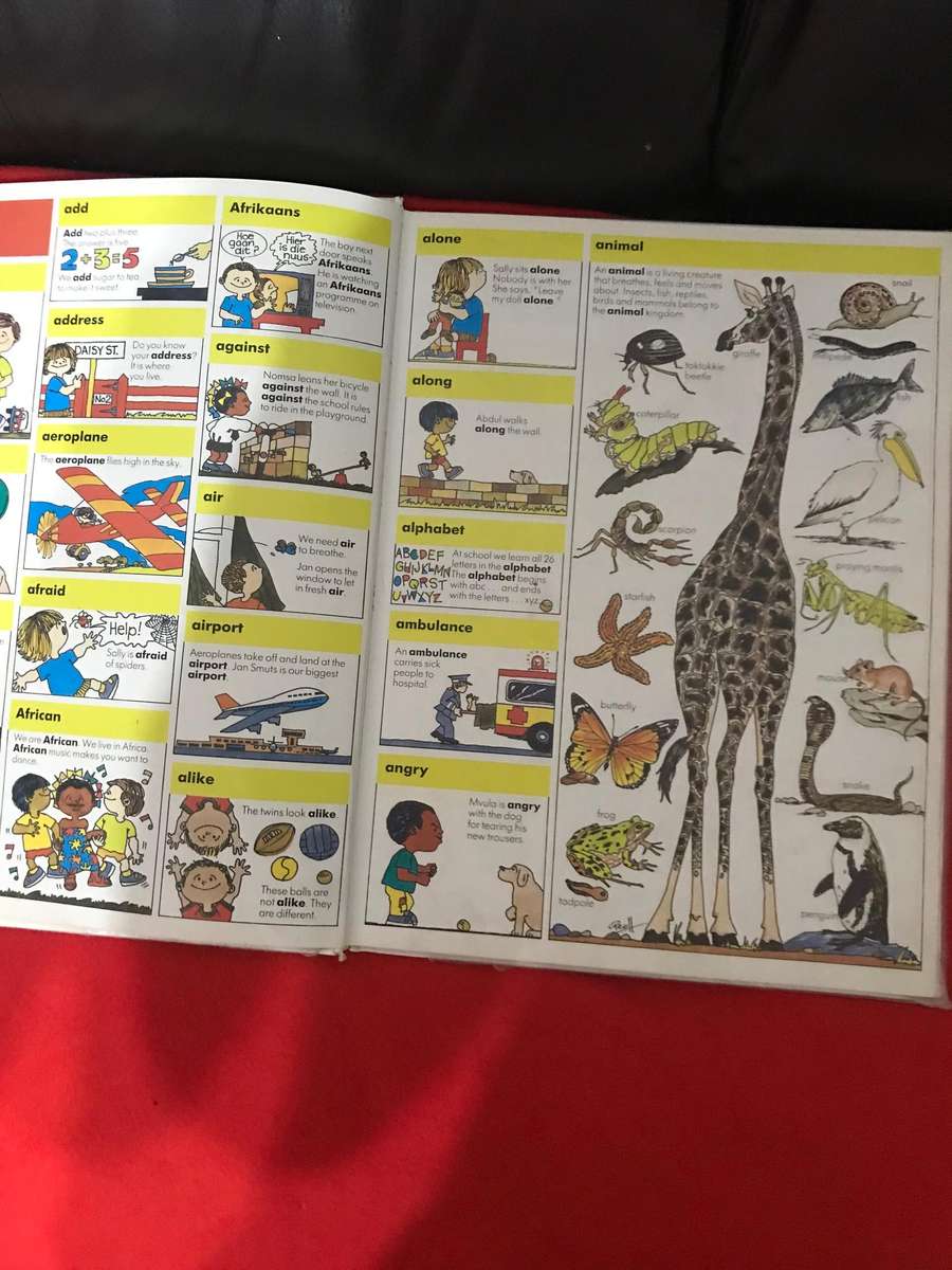 My First Dictionary: 1,000 Words and 4 x Cressida Cowell books