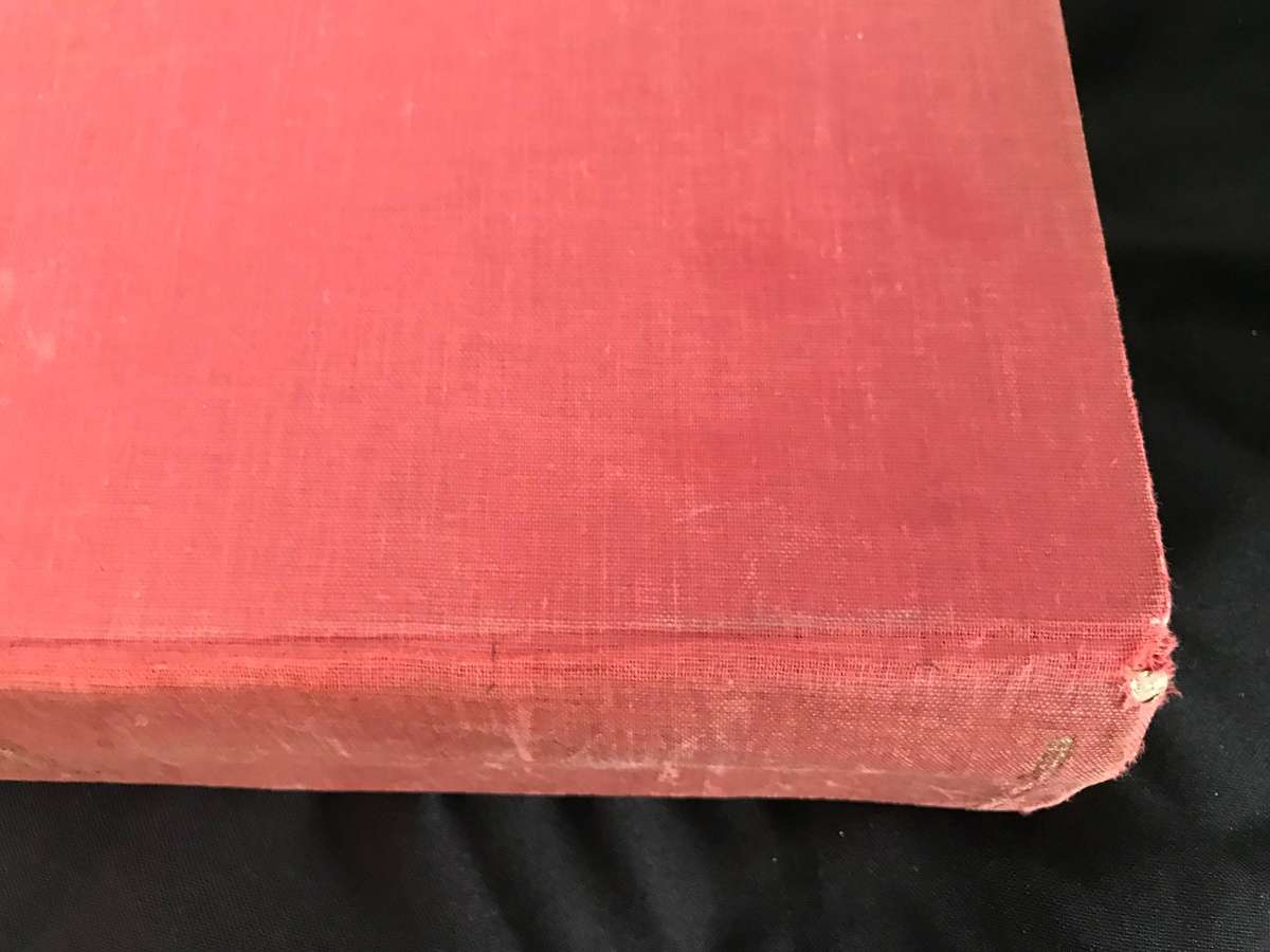 The New Biblw Commentary Revised edited D.Guthrie