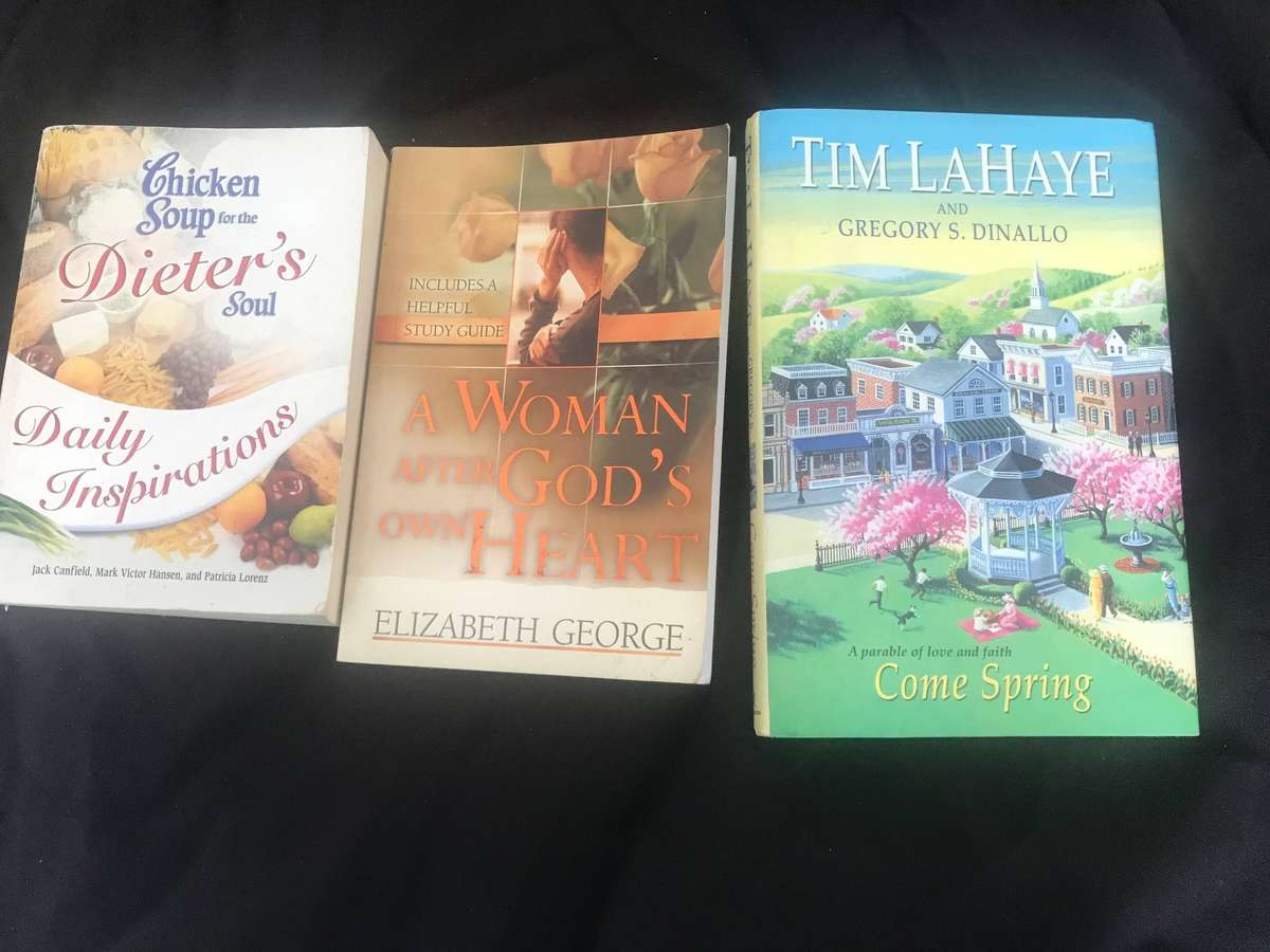 Christian books x 3