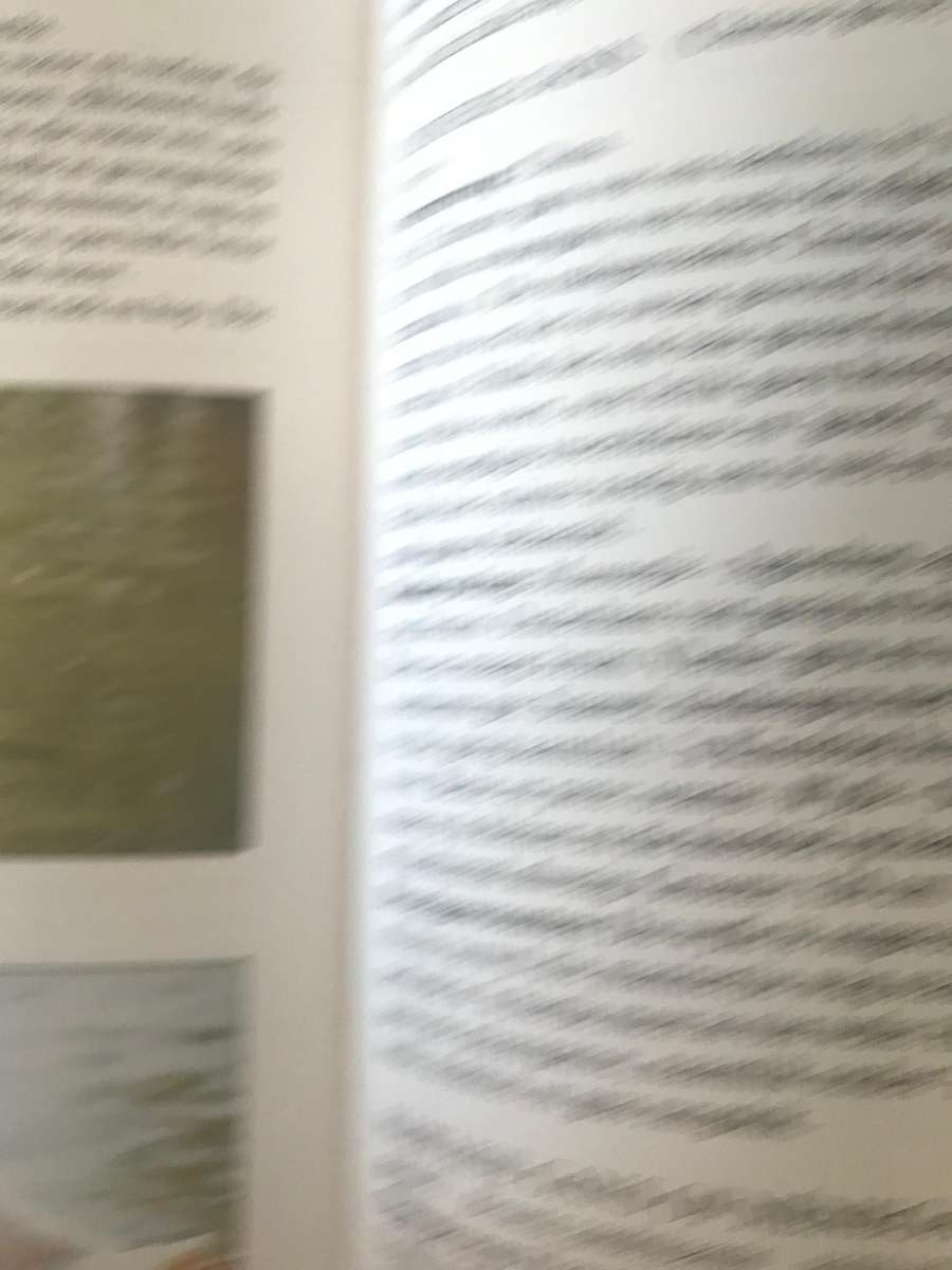 BOER SUKSESVOL MET VOELS - VIERENTIA BEUKES