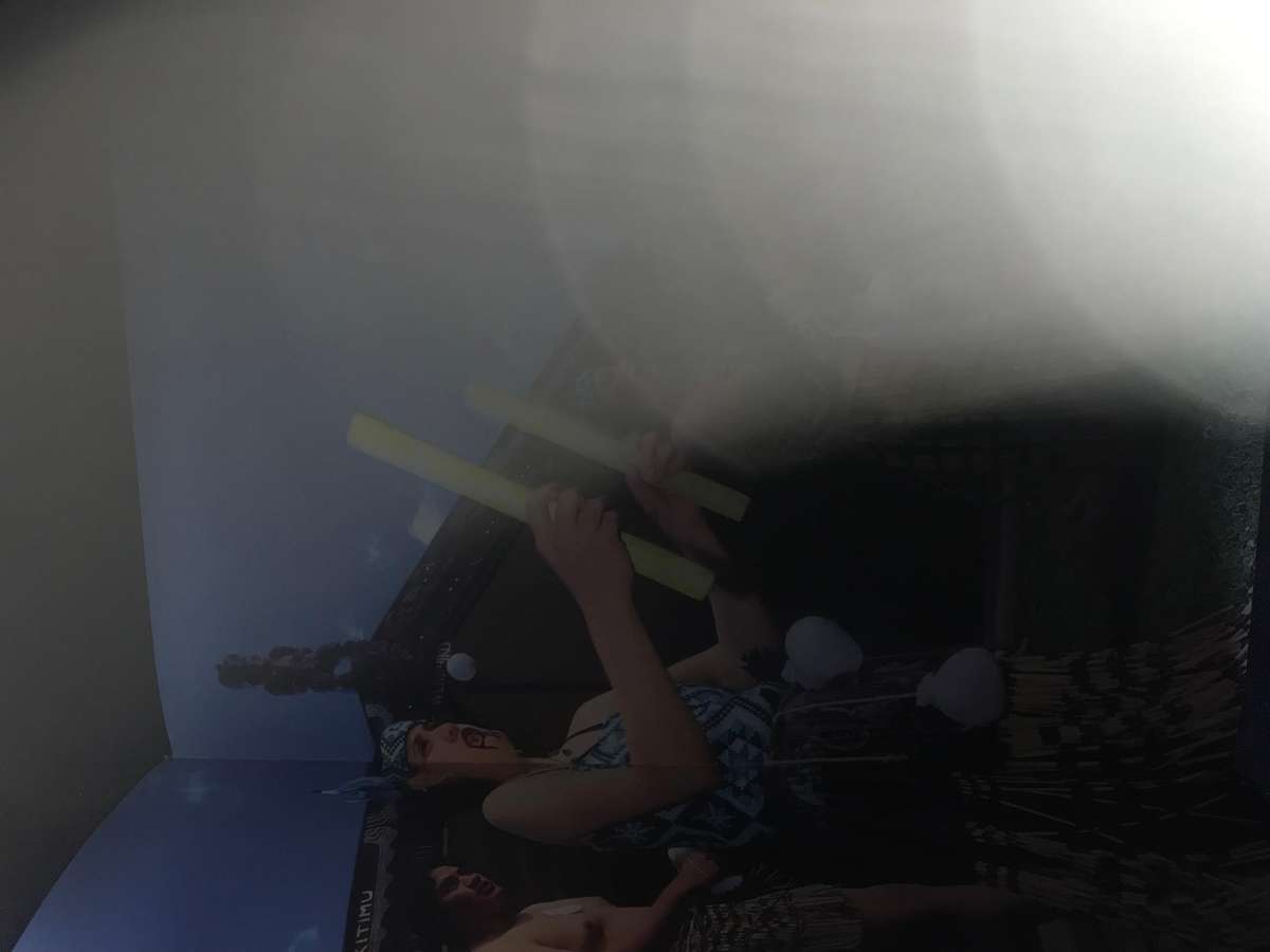 New Zealand and Switzerland Travel guides