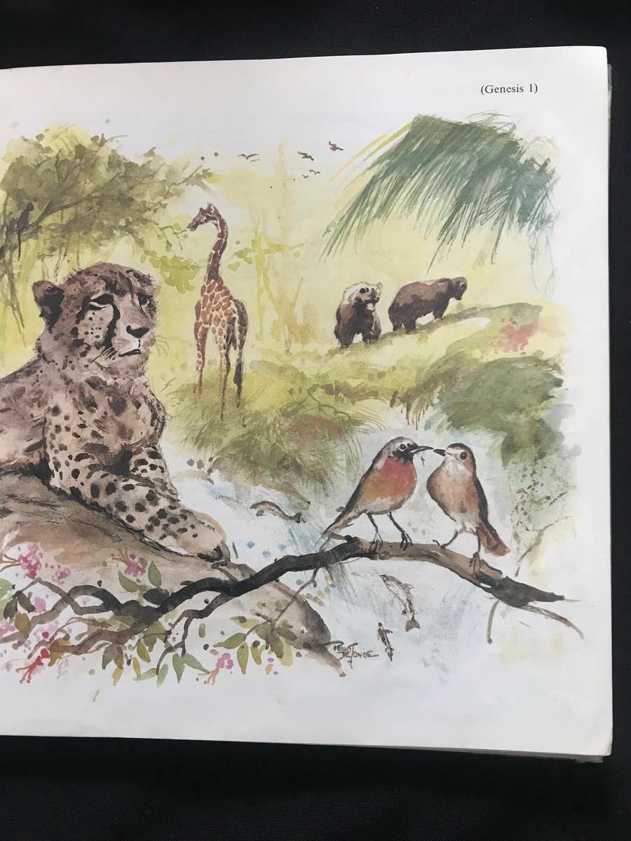 Kleuterbybel deur Evert Kuijt (1982)