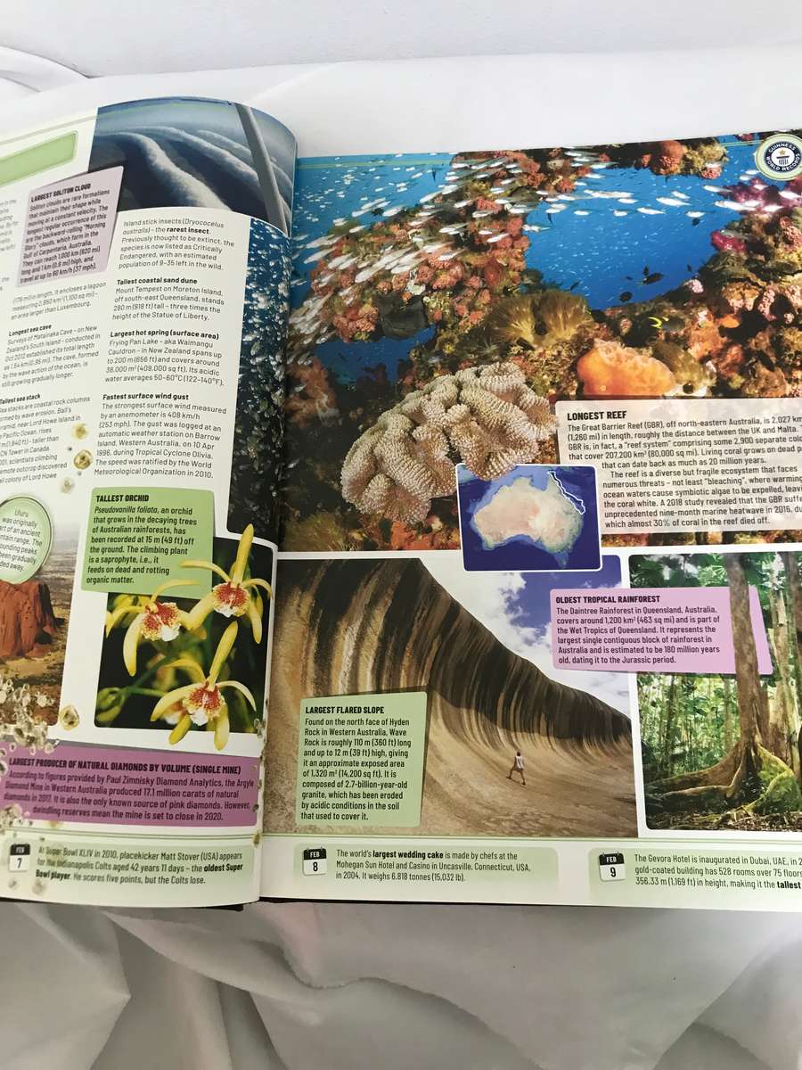 Guinness World Records 2020